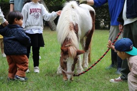 新春にポニーと記念撮影&昔懐かしいお正月遊び【国営