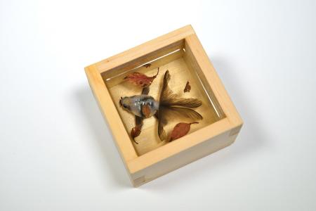 【阪神梅田本店】金魚に魅せられ8年。その軌跡に思い