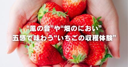 インドネシア・ジャカルタから鉾田市へ。海外展開を視
