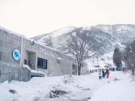 スキー場・エイブル白馬五竜、山頂レストランやベース