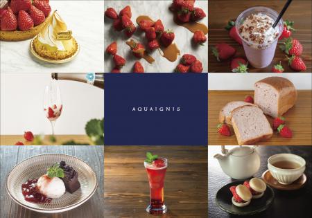 最大22品種のいちごを味わえるいちご狩りのシーズン到