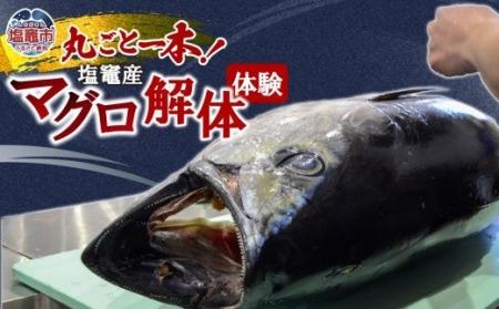現役高校生が起業！マグロ解体体験でふるさと納税へ初