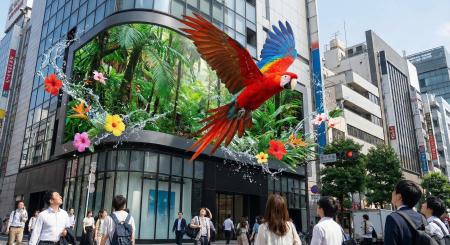 The Signage株式会社、XRコアスタジオを新設 ― 裸眼3D