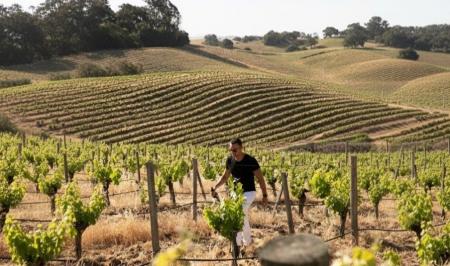 【ロウリーズ・ザ・プライムリブ】ナパヴァレー「ザ・