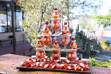 正月明けの初営業日から提供開始！自社農園の完熟いち