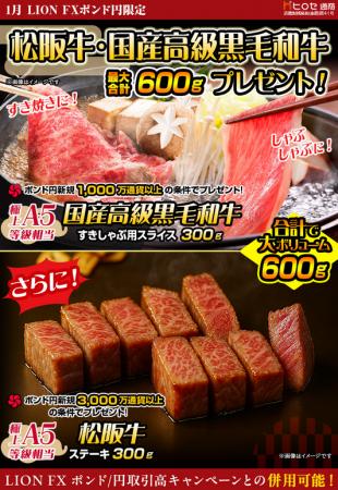 LION FXポンド円限定 松阪牛・国産高級黒毛和牛最大60