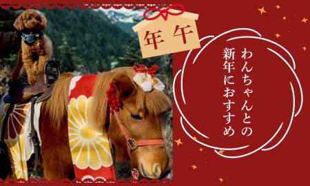 【正月】愛犬と共に、午年 2026年 初詣&乗馬で　幸せ
