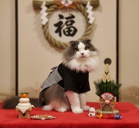 いなばペットフード わんちゃん・猫ちゃんとの「節分 いなばペットフード わんちゃん・猫ちゃんとの「節分