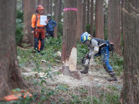 若手林業者が語る 静岡県の林業合同就職相談会でライ 若手林業者が語る 静岡県の林業合同就職相談会でライ