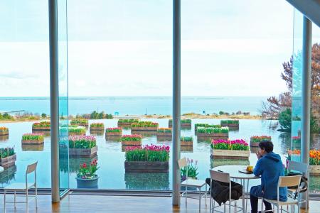 冬の園内を彩る　「アイスチューリップ」明日見頃を迎