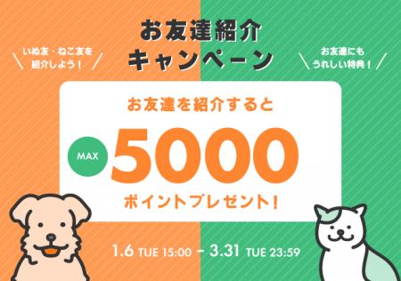 「ペットゴー(petgo.jp)」お友達紹介キャンペーン開 「ペットゴー(petgo.jp)」お友達紹介キャンペーン開