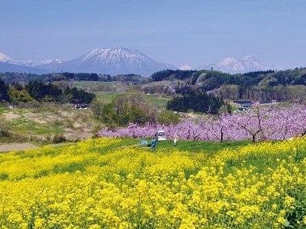 長野県 飯綱町 ２年連続で社会増を達成へ！