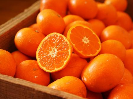 【世界農業遺産認定後初出荷！】2026年の蔵出しみかん