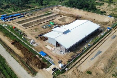 TESSグループ、インドネシアにおけるEFBペレット製造