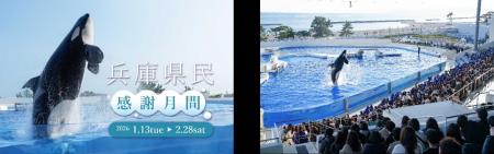【神戸須磨シーワールド】日頃の感謝を込めて「兵庫県 【神戸須磨シーワールド】日頃の感謝を込めて「兵庫県