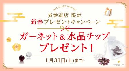 【2026年頑張るあなたへ】勝利の石「ガーネット＆水晶