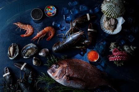 海と時が紡ぐフレンチ - 「大阪赤レンガ シーフードフ