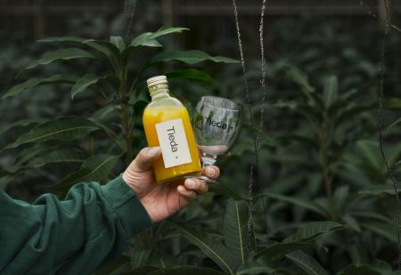 宮古島の太陽が育てたマンゴーから生まれた新ブランド 宮古島の太陽が育てたマンゴーから生まれた新ブランド