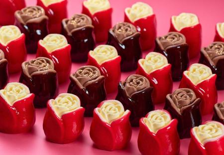 【名古屋】「TOKYOチューリップローズ」が日本最大級