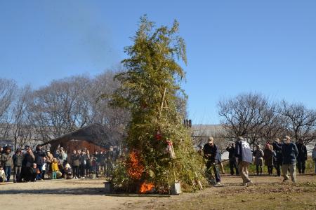「どんど焼き」を開催します（国営ひたち海浜公園）