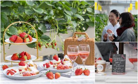 ＜いちご専門店の道の駅 いちごBonBonBERRY＞大utf-8