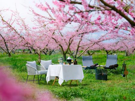【星のや富士】360度桃の花に囲まれた特等席で美食を