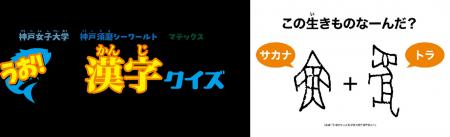 【神戸須磨シーワールド】神戸須磨シーワールド×神戸