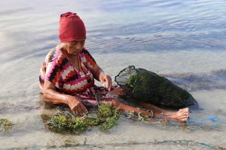開発から取り残されたインドネシアの離島”スンバ島”で