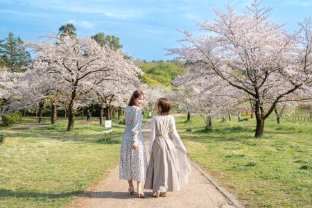【中国割烹旅館 掬水亭】 都心から約 50 分 地元の銘