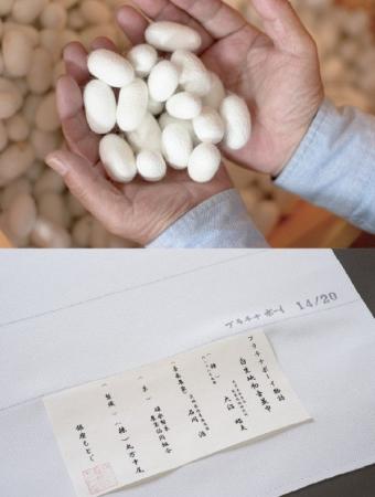 純国産絹糸「プラチナボーイ」プロジェクト20周年記念