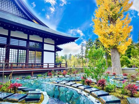 千葉県流山市のお墓需要に応える永代供養型樹木葬『彩