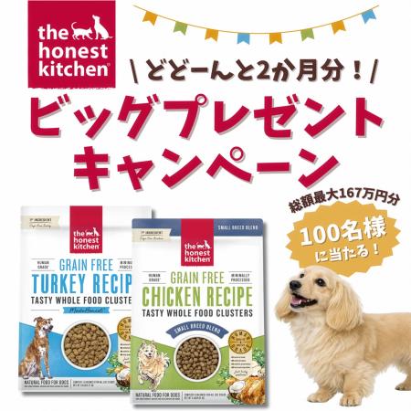 愛犬に“約2ヶ月分”の健康的な贅沢を。「世界初のヒュ