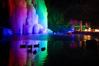 「光の氷柱と寒の灯籠2026」~Frozen Light Wall~202 「光の氷柱と寒の灯籠2026」~Frozen Light Wall~202