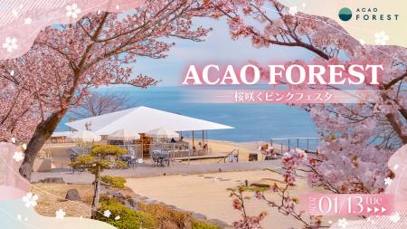 熱海で桜が続々と開花中！園内が桜色に染まる期間限定