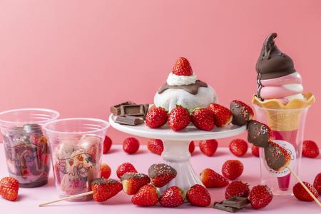 いちごBonBonBERRY ATAMI HOUSE.【1/10(土)からutf-8 いちごBonBonBERRY ATAMI HOUSE.【1/10(土)からutf-8