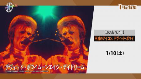 音楽と芸術の境界を越え続けたグラムロックのカリスマ