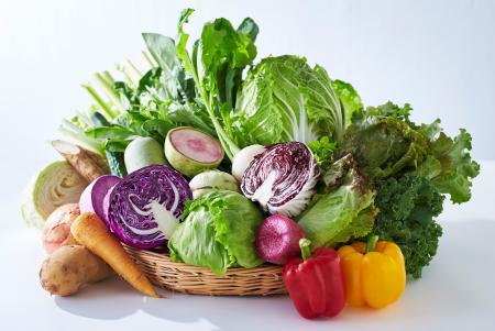 【ロック・フィールド】1月31日は「愛菜(あいさutf-8