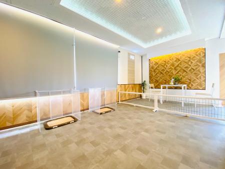 【新規店舗オープン】「犬のしつけを「特別なもの」に 【新規店舗オープン】「犬のしつけを「特別なもの」に