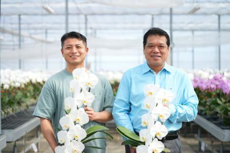 大量の祝い花対応を一本化 胡蝶蘭専門店「らんや」、