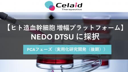 セレイドセラピューティクス、NEDO「DTSU」 PCAフェー