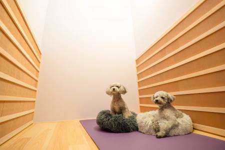 【 東京 目黒/恵比寿 】カラダの内側から健康的にリフ