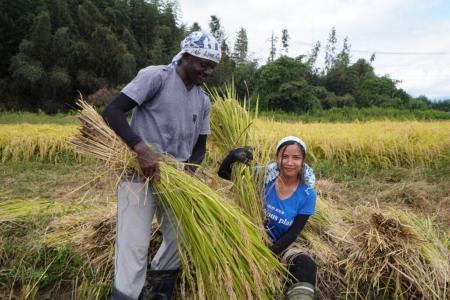 【第15回クボタ・毎日地球未来賞「大賞」を受賞しまし 【第15回クボタ・毎日地球未来賞「大賞」を受賞しまし