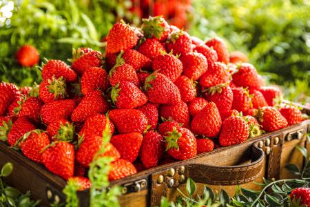 【フレッシュ苺 食べ放題】XEX 3店舗は1/15、XEX WEST