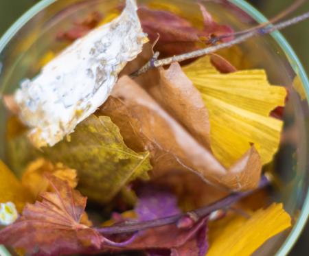 【SHIRO】LIMITED ITEM ホワイトティー フレグランス