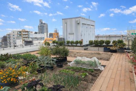 プランティオ、ルミネ荻窪の「ソラドファームルミネ」