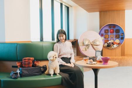 【OMO5東京五反田】愛犬とスイーツやフォトスポットで