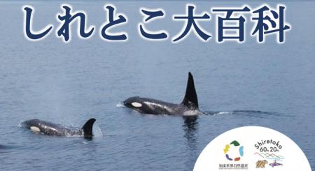 【知床の日って？世界自然遺産登録20年！？】知床の20