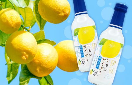 静岡県伊豆・東部の新たな魅力が弾ける！ JAふじ伊豆×