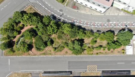 アイシン岡崎東工場のビオトープ「悠久のもり」が主務