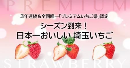 【埼玉県】シーズン到来！日本一おいしい 埼玉いちご